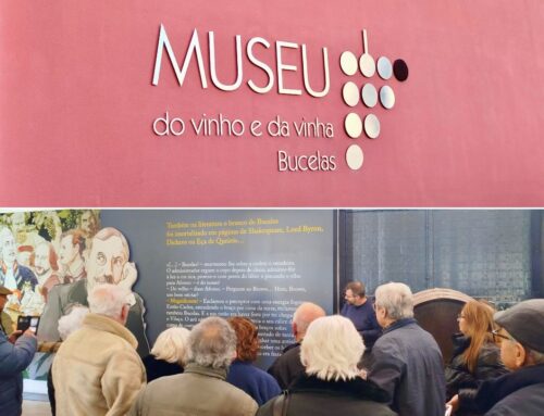 Passeio ao Museu do Vinho e da Vinha, em Bucelas